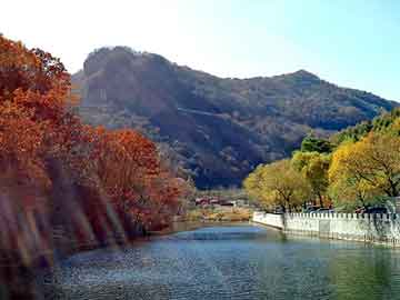 澳彩资料免费长期公开，田阳seo建站